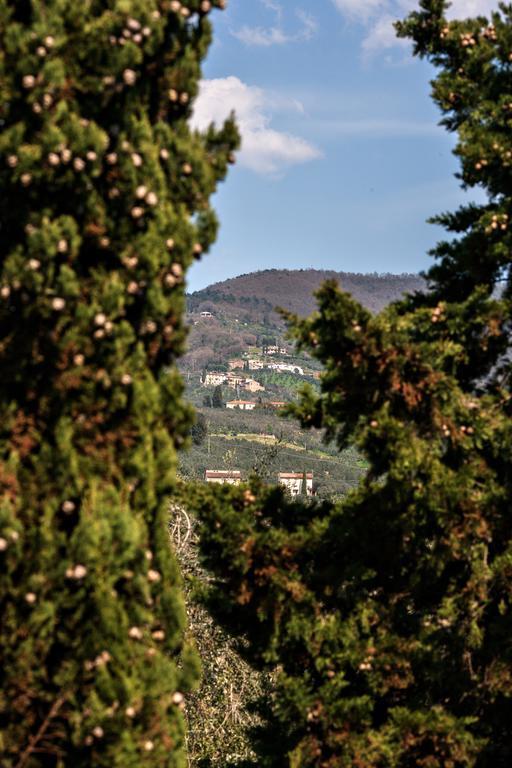 Agriturismo Il Piastrino Vinci Bagian luar foto
