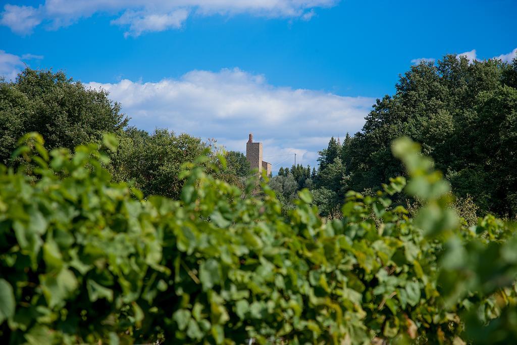 Agriturismo Il Piastrino Vinci Bagian luar foto