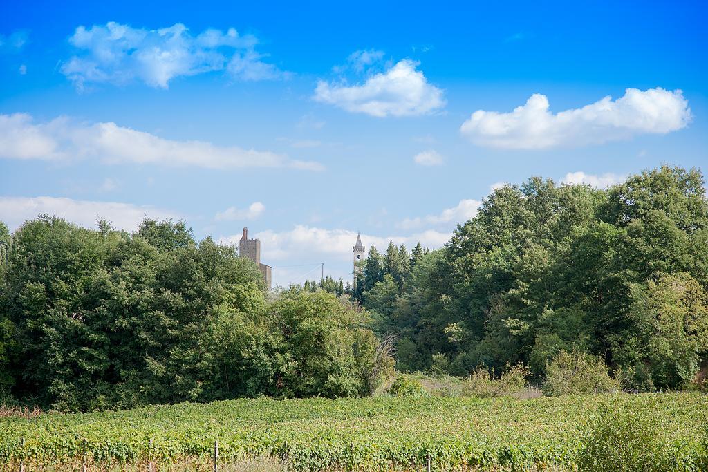 Agriturismo Il Piastrino Vinci Bagian luar foto